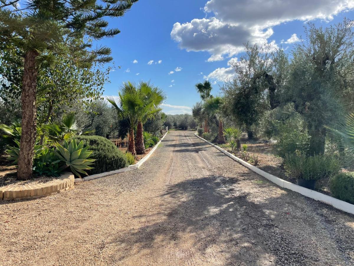 El Paraiso Del Olivar Bollullos de la Mitación Buitenkant foto