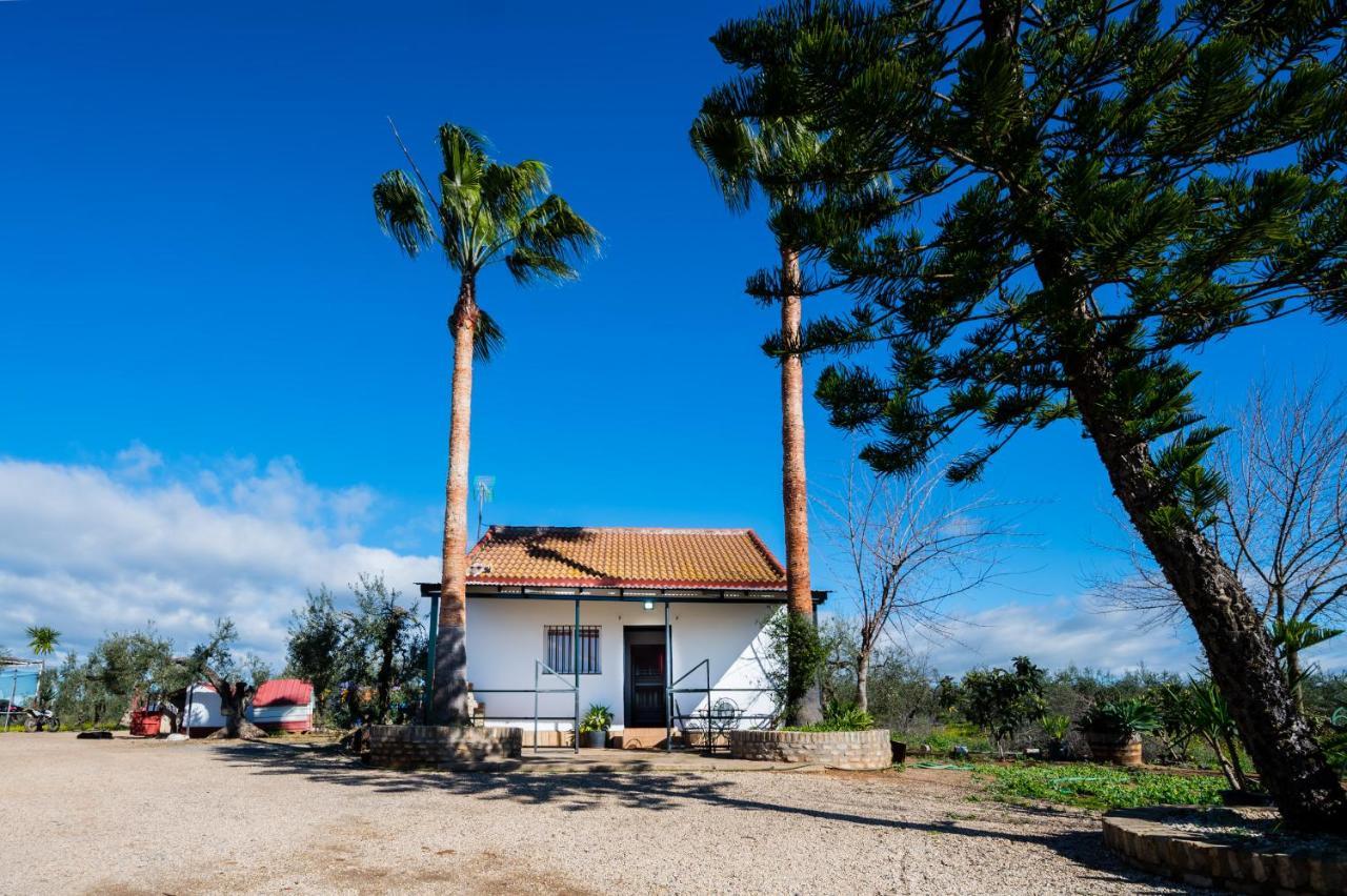 El Paraiso Del Olivar Bollullos de la Mitación Buitenkant foto