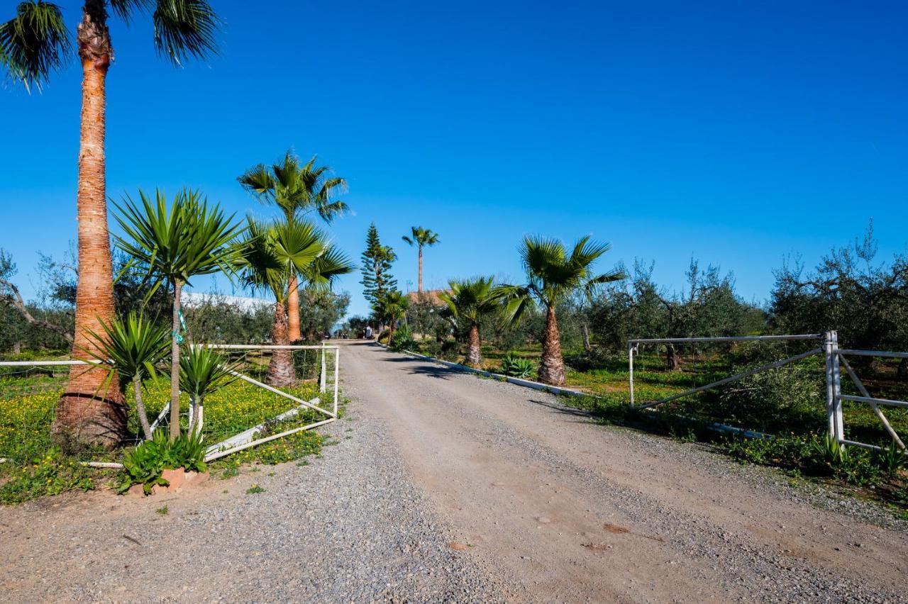El Paraiso Del Olivar Bollullos de la Mitación Buitenkant foto
