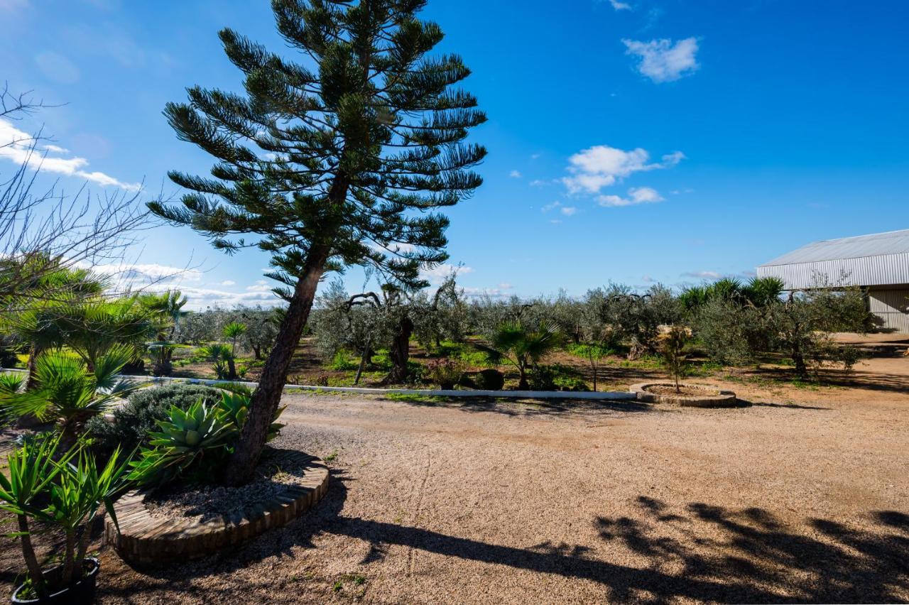 El Paraiso Del Olivar Bollullos de la Mitación Buitenkant foto