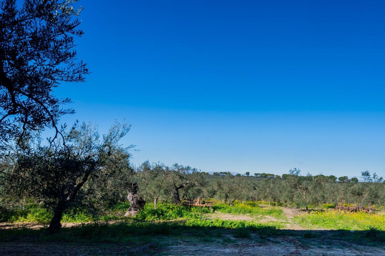 El Paraiso Del Olivar Bollullos de la Mitación Buitenkant foto
